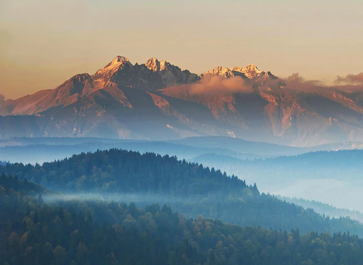 Kilka porad dla pacjentów stomatologicznych