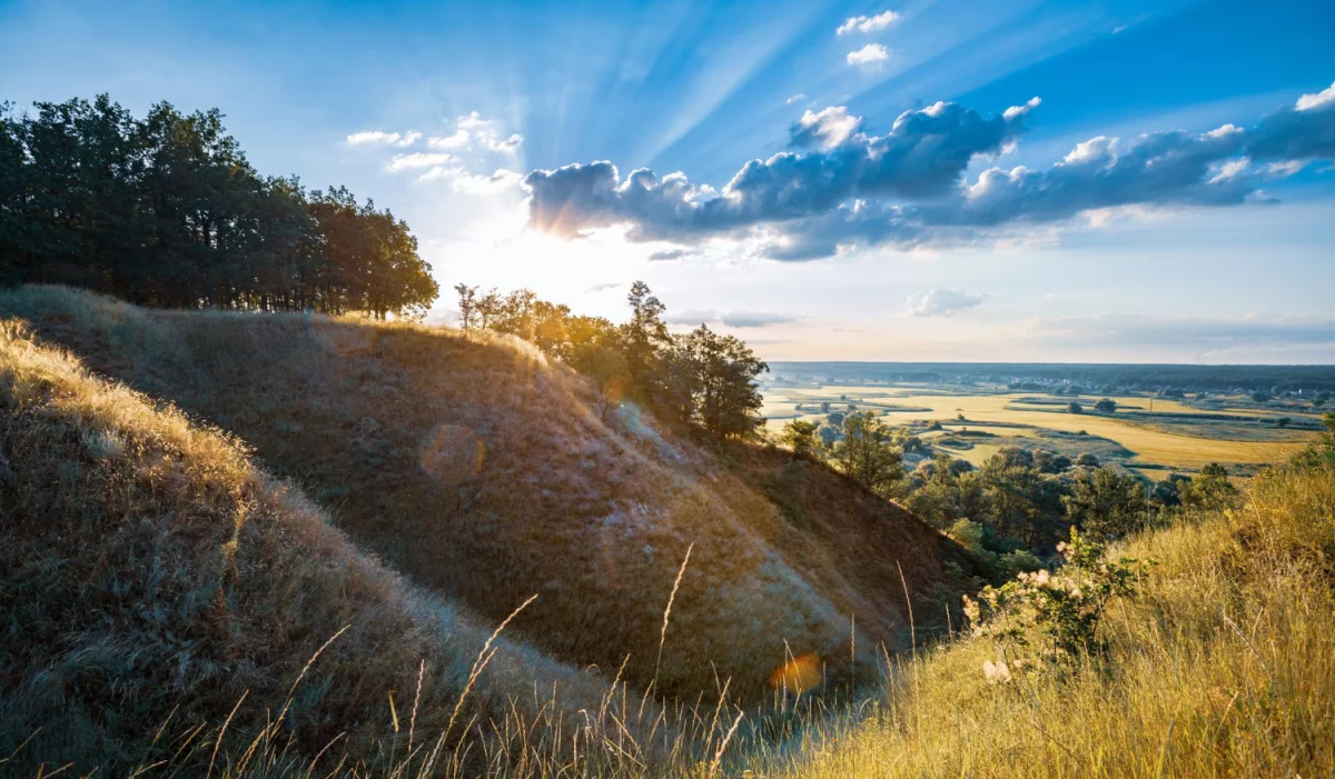 Nigdy Nie Rób Tych 8 Rzeczy Jeśli Chcesz kupić paracord 5mm