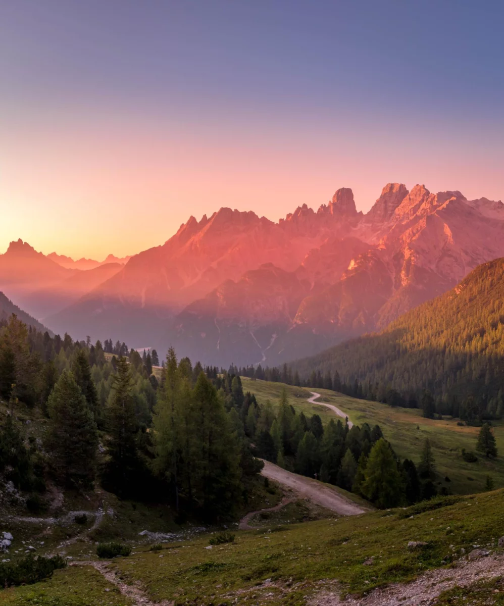 Rok 2023 - czy  kupić para cord?