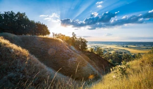 To Nie Twoja Wina, że Nie Wiesz Jak zobaczyć taniec w Krakowie (chyba, że Popełniasz Te 10 Największych Błędów)