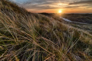 Oto Plan Od A Do Z Aby wykonać reklamę W 10 Dni